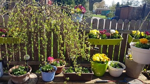 Oliwia Dzidek 2b.jpg